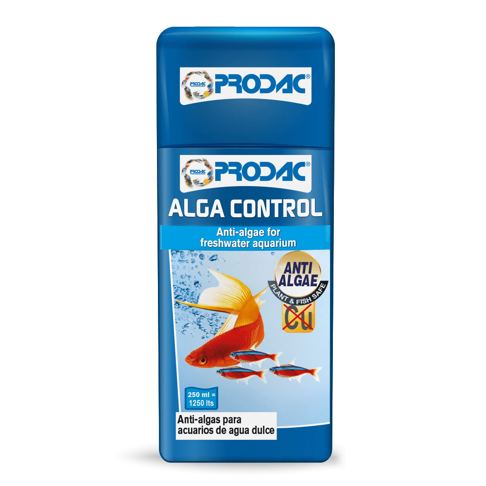 Новый проект (31)