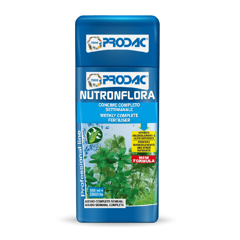 Новый проект (32)