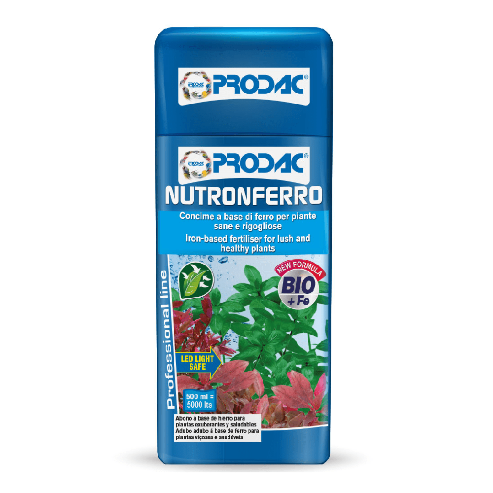 Новый проект (33)